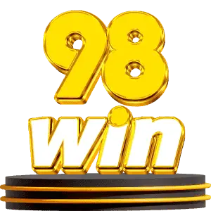 icon 98win